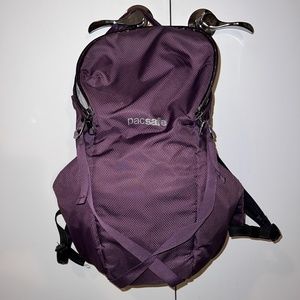 Pacsafe | Venturesafe X24 Anti-Theft Backpack | Purple | 24L